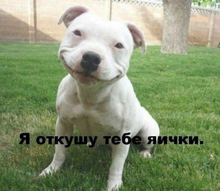 20141018_193659.png