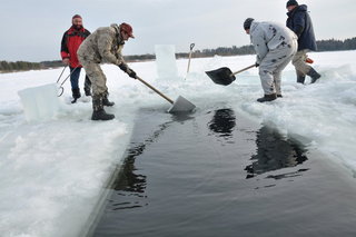DSC_3502_новый размер.JPG