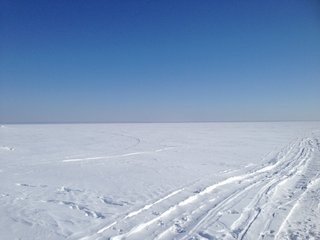 IMG_6177.JPG