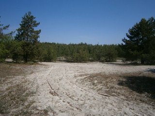35.jpg