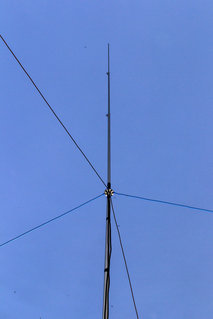 DSC_7388.JPG