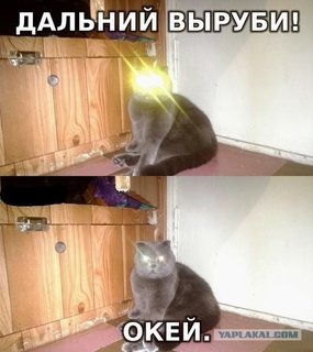 2521141.jpeg