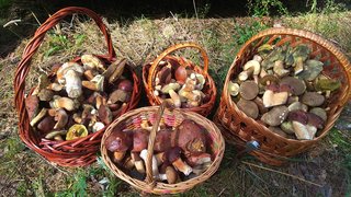 IMG_20170910_113745.jpg